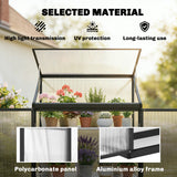 Polycarbonate Greenhouse with 2-Tier Shelves Gardening Green House for Patio Garden