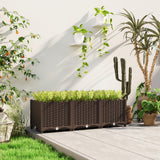 Plastic Raised Garden Bed