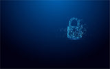 Kingston Technology IronKey 32GB Vault Privacy 50 AES-256 Encrypted, F