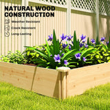 Wooden Raised Garden Bed, Outdoor Planter Box with Divider and Open Bottom for Flowers