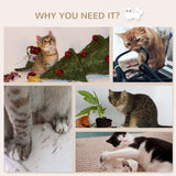 Ensemble de 7 tablettes murales pour chats, lit et balle