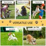 Dog Agility Equipment Set