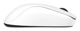 BenQ S2-DW mouse Gaming Right-hand RF Wireless Optical 3200 DPI