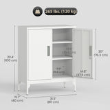 Office Storage Cabinet with Lock, Filing Cabinet with Adjustable Shelves and Doors for Home Office
