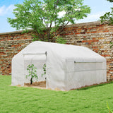 Walk-in Tunnel Greenhouse with Galvanized Steel Frame