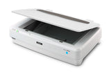 Epson Expression 13000XL A3 Flatbed Scanner 2400 x 4800 DPI