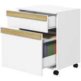 Mobile Filing Cabinet with 2 Drawers, Office Storage Cabinet with 5 Wheels