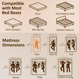 Twin Mattress 6 Inch Memory Foam Mattress in a Box, Pressure Relief & Lumbar Support