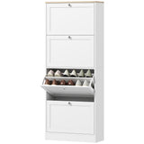 Modern Shoe Storage