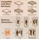10 Inch Queen Mattress in a Box, Pressure Relief & Lumbar Support