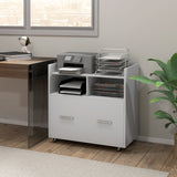 Mobile Filing Cabinet, Rolling File Cabinet with Drawer and Adjustable Hanging Bar for Letter, A4 and Legal Size