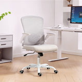 Ergonomic Mesh Office Chair with 4D Lumbar Support, Swivel Desk Chair with Flip-up Armrests, Tilt Function