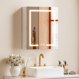 Bathroom Medicine Cabinet with Lights, Adjustable Shelves