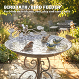 Bain d'oiseaux 30