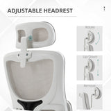 High Back Office Chair, Mesh Computer Desk Chair with Rotatable Headrest, Lumbar Back Support, Adjustable Height