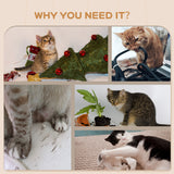 Cat Wall Shelves, 3 Steps