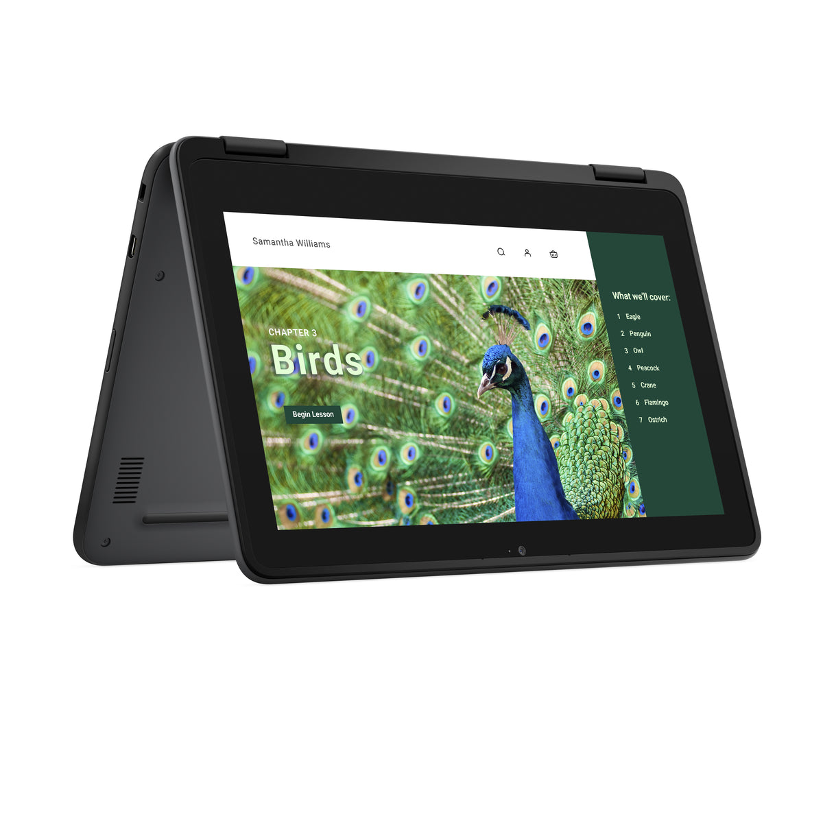 Dell Chromebook 3120 2-in-1 11.6