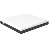 10 Inch Queen Mattress in a Box, Pressure Relief & Lumbar Support