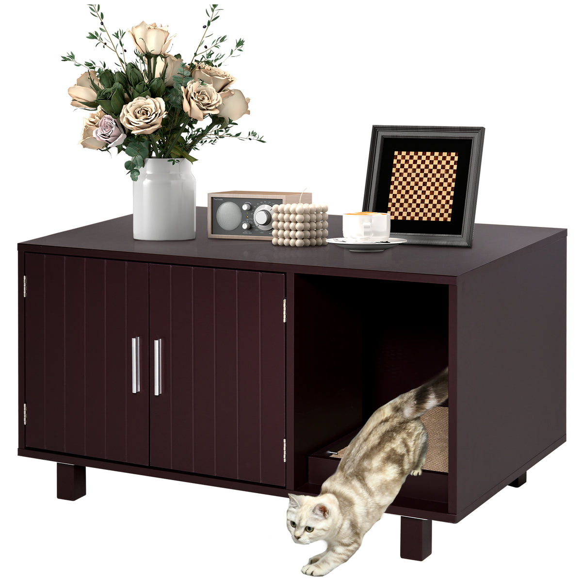Cat Litter Box Enclosure