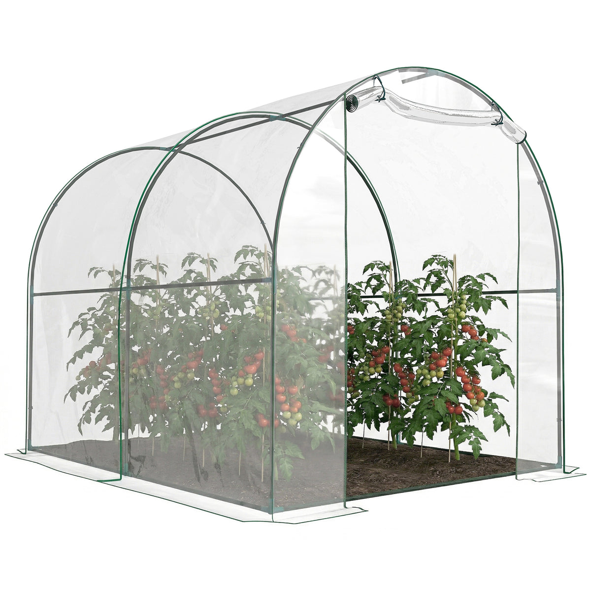 Dome Tunnel Greenhouse Plant Shed with Roll Up Door, 6.6' x 8.2' x 6.6'