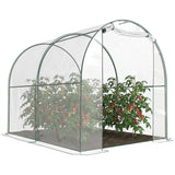 Dome Tunnel Greenhouse Plant Shed with Roll Up Door, 6.6' x 8.2' x 6.6'