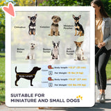 3-in-1 Double Pet Stroller for Small Miniature Dogs Cats with Removable Carrier, Foldable Travel Carrier Bag