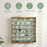 Armoire d'exposition 7 étages, Vitrine pour verres à shot