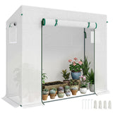 Serre de patio 6,6' x 2,5' x 5,5', serre-jardin accessible avec structure acier