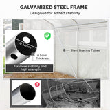 Walk-in Tunnel Greenhouse with Galvanized Steel Frame