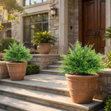 Artificial Boston Ferns UV-Resistant Fake Plants for Indoor Outdoor Decor Set of 2