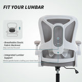 Ergonomic Office Chair, Swivel Desk Chair with Adjustable Lumbar Support and Height, Wheels