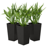 Ensemble de 3 supports de plantes grand modèle
