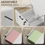 Vertical Filing Cabinet with