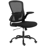 Ergonomic Mesh Office Chair with 4D Lumbar Support, Swivel Desk Chair with Flip-up Armrests, Tilt Function