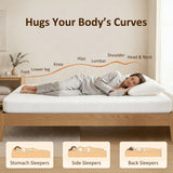 Twin Mattress 6 Inch Memory Foam Mattress in a Box, Pressure Relief & Lumbar Support