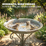 Bain d'oiseaux 30
