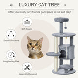 Arbre à chat 41
