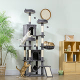Grand arbre à chat 76