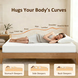Full Mattress 8 Inch Memory Foam Mattress in a Box, Pressure Relief & Lumbar Support