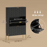 Shoe Cabinet with