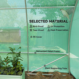 20x10x6.6ft Heavy Duty Outdoor Walk-in Tunnel Greenhouse Portable Garden Planting Warm House with PE Cover