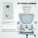 Ergonomic Office Chair, Mesh Desk Chair with Adjustable Headrest, Lumbar Support and Height