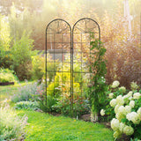 2 Pcs Garden Trellis for Climbing Plants, Outdoor Metal Trellis Plant Support Trellises for Patio