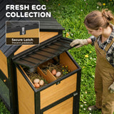 Grand poulailler, maison pour poules 134