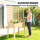 Wooden Raised Garden Bed with 3 Trellises