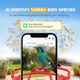 Mangeoire pour oiseaux intelligente avec caméra, identification IA de 16000 oiseaux