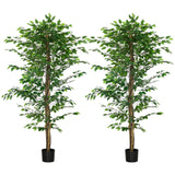 5ft Artificial Tree Ficus