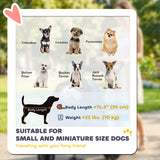 Double Pet Stroller, Foldable Dog Stroller with 2-Seater Carrier, Storage Basket