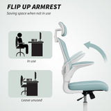 Ergonomic Office Chair, Mesh Desk Chair with Adjustable Headrest, Lumbar Support and Height