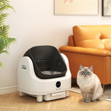 Open-Top Self Cleaning Cat Litter Box